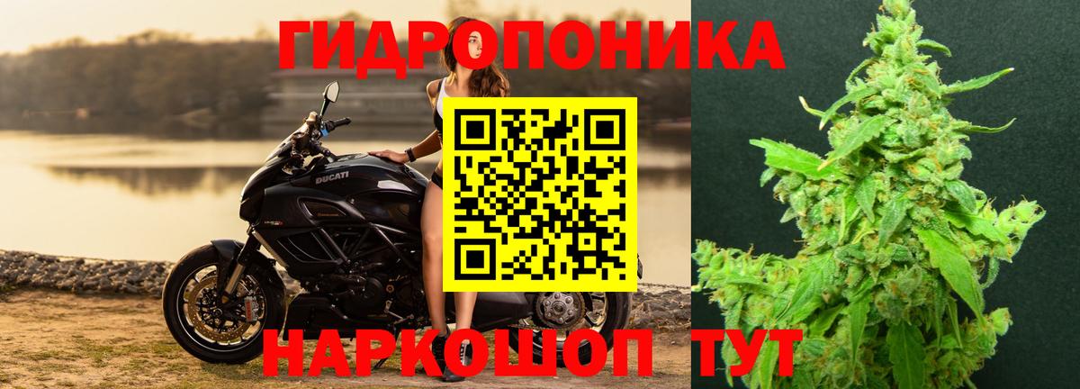 Конопля сатива Воткинск